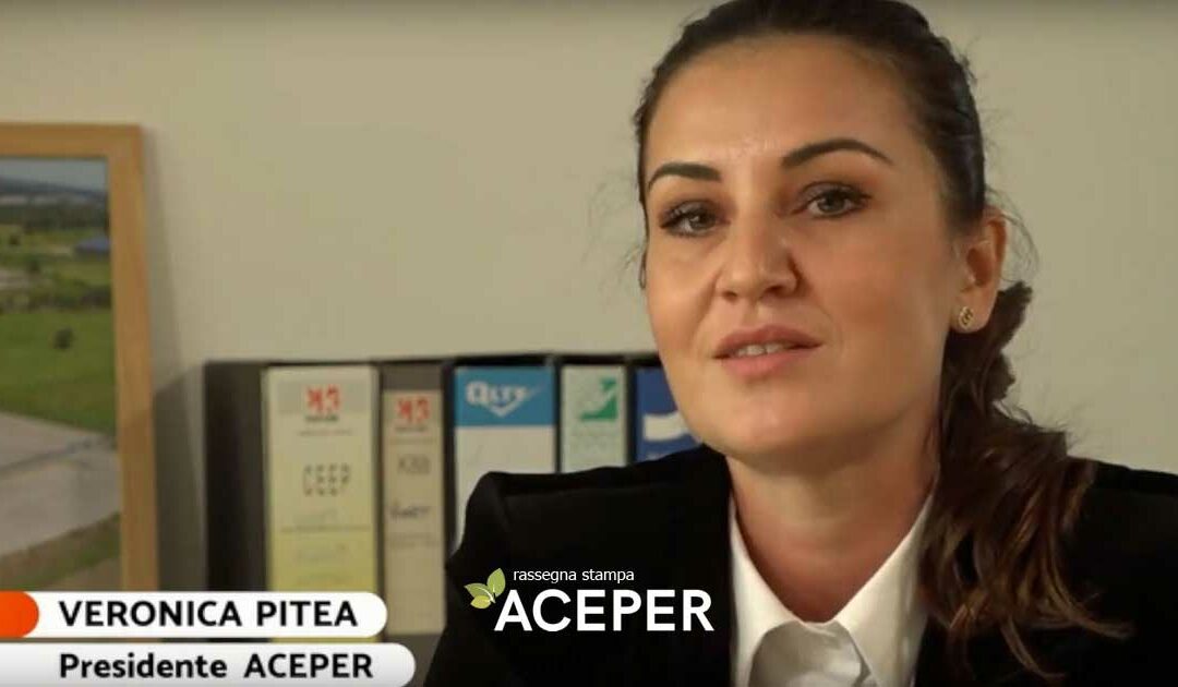 Intervista a Veronica Pitea su TG4 – Rete 4