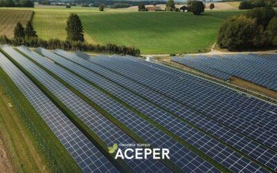 Energia, le piccole imprese insorgono: “La legge sugli extra-profitti ci sta strozzando”