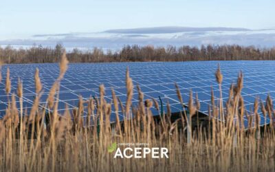 Fotovoltaico: il Piemonte in testa alla classifica per produzione di energia