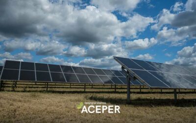 La ricerca di Aceper: Basilicata ultima in Italia per la produzione di energia da fotovoltaico