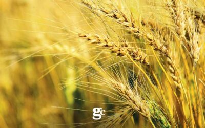 La sostenibilità agroalimentare al centro del cambiamento