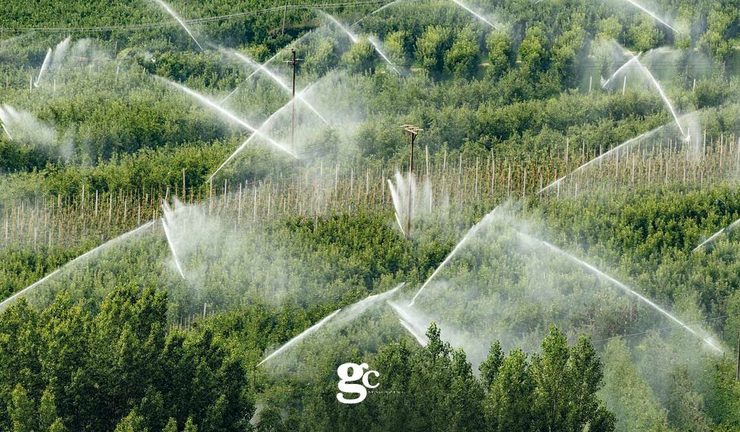 Risorse idriche: La risposta degli agricoltori alla crisi idrica è una questione di gocce e di tecnologia 4.0
