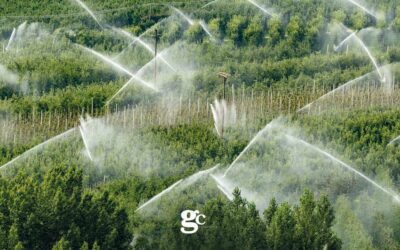 Risorse idriche: La risposta degli agricoltori alla crisi idrica è una questione di gocce e di tecnologia 4.0