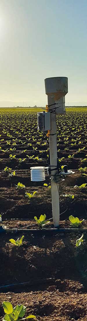 Sistema d'irrigazione intelligente di BrioAgro