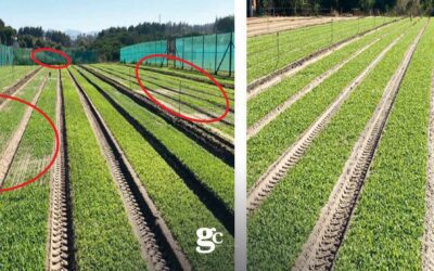 Il sistema BrioAgro per risparmiare acqua ed energia nell’irrigazione producendo di più