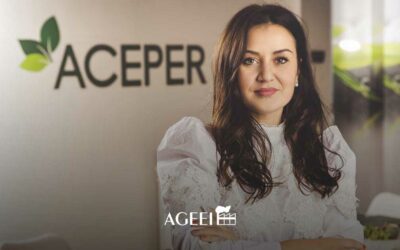 Rinnovabili, Aceper: Sardegna perde ogni anno energia che illuminerebbe fino a 1500 stadi