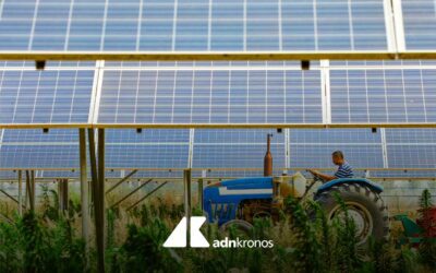 Agricoltura: ACEPER, solo 3,5% azienda ha fotovoltaico e 2,5% aderisce a bandi agrisolari