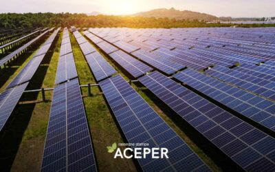 In Italia solo il 3,5% aziende agricole ha il fotovoltaico
