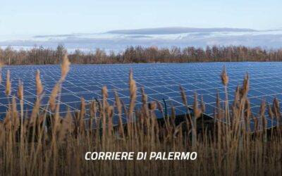 In Italia solo il 3,5% aziende agricole ha il fotovoltaico