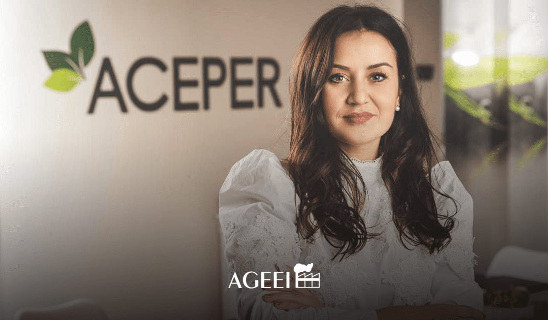 Rinnovabili, Aceper: Utilizzo batterie diventi elemento trainante per industria 5.0