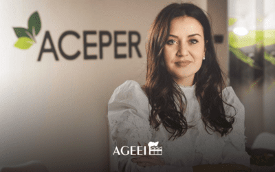 Rinnovabili, Aceper: Utilizzo batterie diventi elemento trainante per industria 5.0