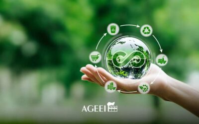 Rinnovabili: Pitea (Aceper), “Trump e L’ambiente: una relazione complessa”