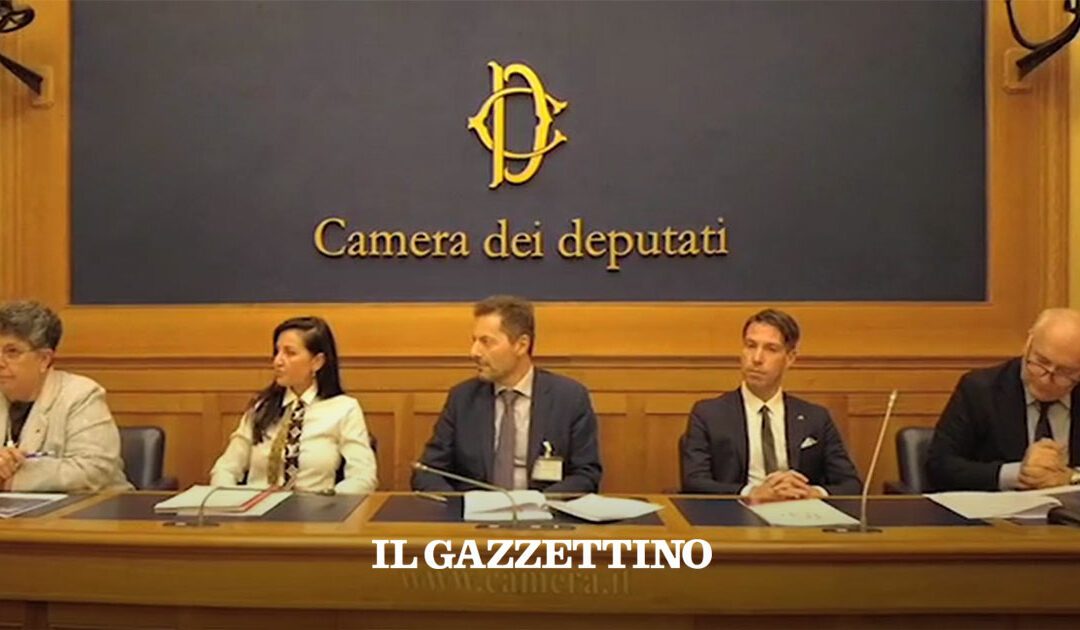 Rinnovabili in Italia, la burocrazia frena l’energia pulita – il Gazzettino