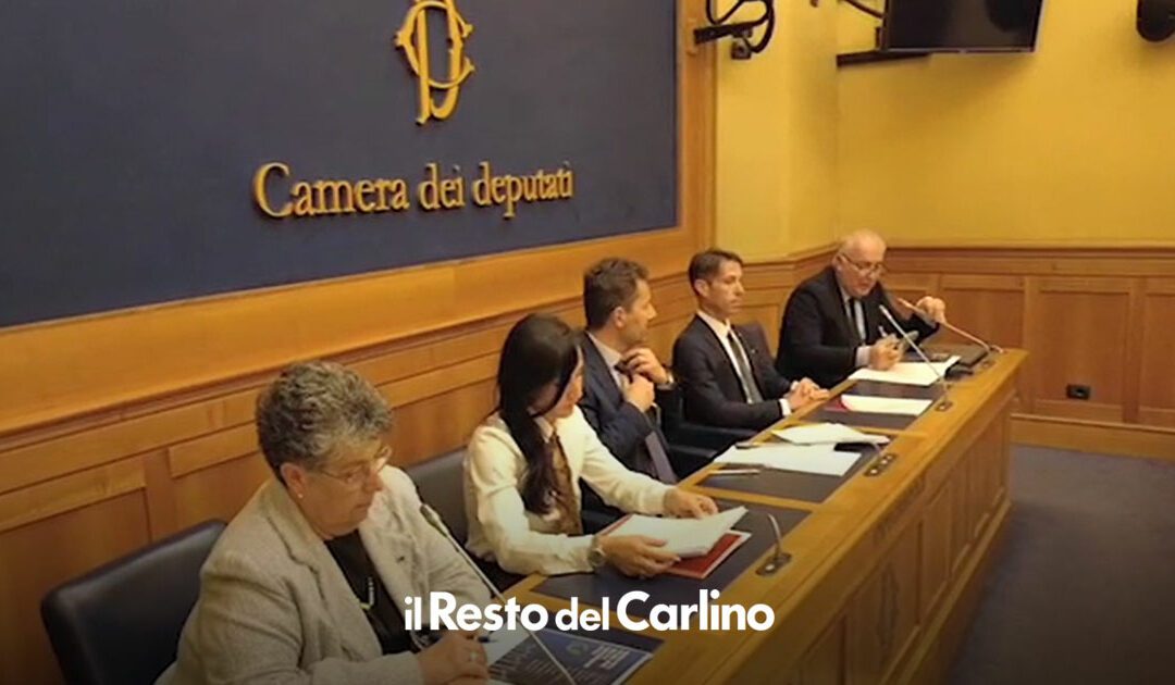 Rinnovabili in Italia, la burocrazia frena l’energia pulita – Il Resto del Carlino