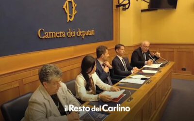 Rinnovabili in Italia, la burocrazia frena l’energia pulita – Il Resto del Carlino