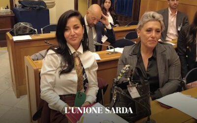 Rinnovabili in Italia, la burocrazia frena l’energia pulita – Unione Sarda