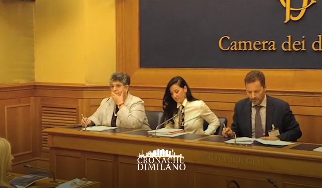 Rinnovabili in Italia, la burocrazia frena l’energia pulita – Cronache di Milano