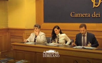 Rinnovabili in Italia, la burocrazia frena l’energia pulita – Cronache di Milano