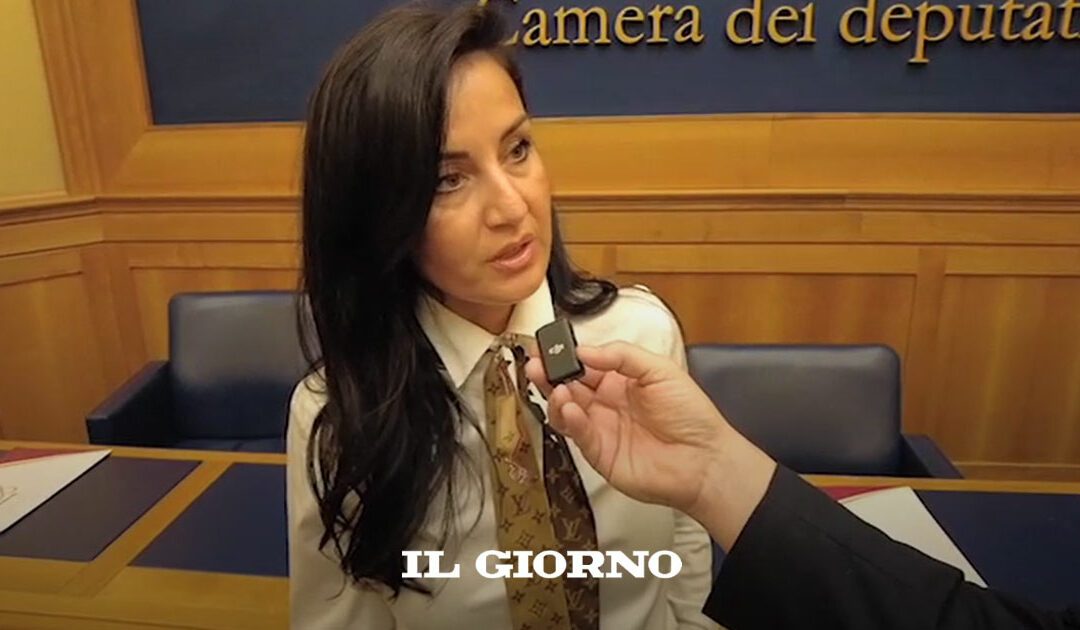 Rinnovabili in Italia, la burocrazia frena l’energia pulita – Il Giorno