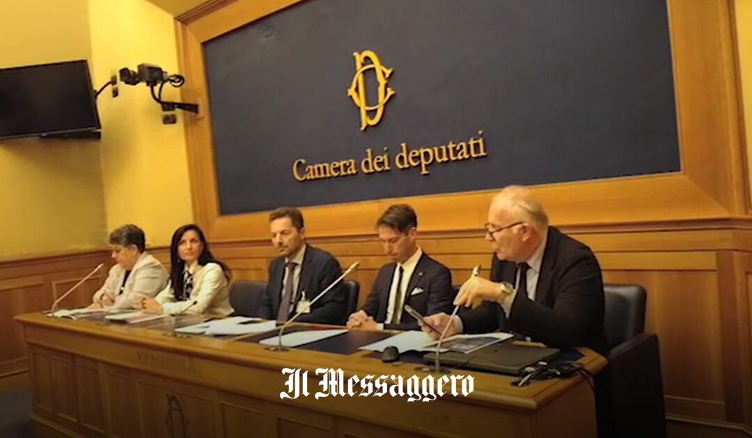 Rinnovabili in Italia, la burocrazia frena l’energia pulita – Il Messaggero