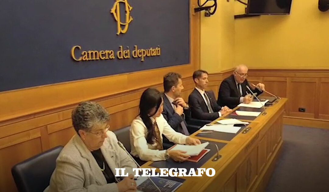 Rinnovabili in Italia, la burocrazia frena l’energia pulita – Il Telegrafo