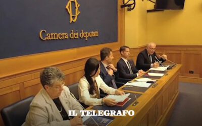 Rinnovabili in Italia, la burocrazia frena l’energia pulita – Il Telegrafo