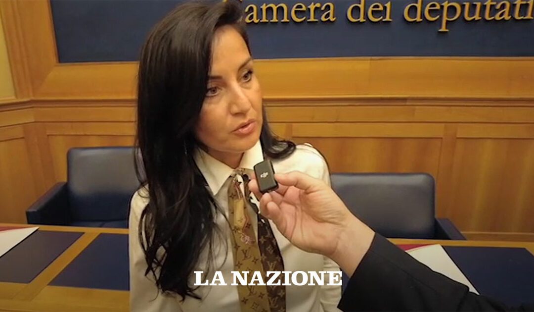 Rinnovabili in Italia, la burocrazia frena l’energia pulita – La Nazione