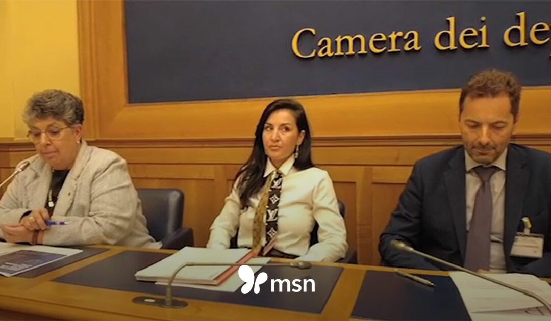 Rinnovabili in Italia, la burocrazia frena l’energia pulita – MSN