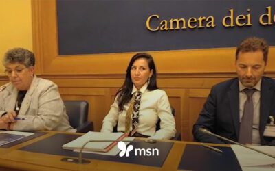 Rinnovabili in Italia, la burocrazia frena l’energia pulita – MSN