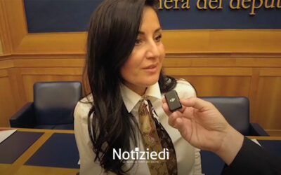 Rinnovabili in Italia, la burocrazia frena l’energia pulita – Notiziedì