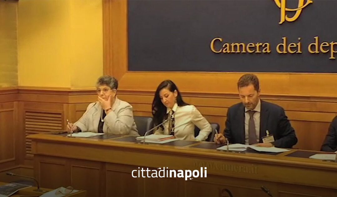 Rinnovabili in Italia, la burocrazia frena l’energia pulita – Città di Napoli