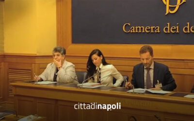 Rinnovabili in Italia, la burocrazia frena l’energia pulita – Città di Napoli