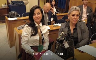 Rinnovabili in Italia, la burocrazia frena l’energia pulita – Cronache di Bari