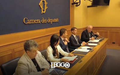 Rinnovabili in Italia, la burocrazia frena l’energia pulita – Leggo