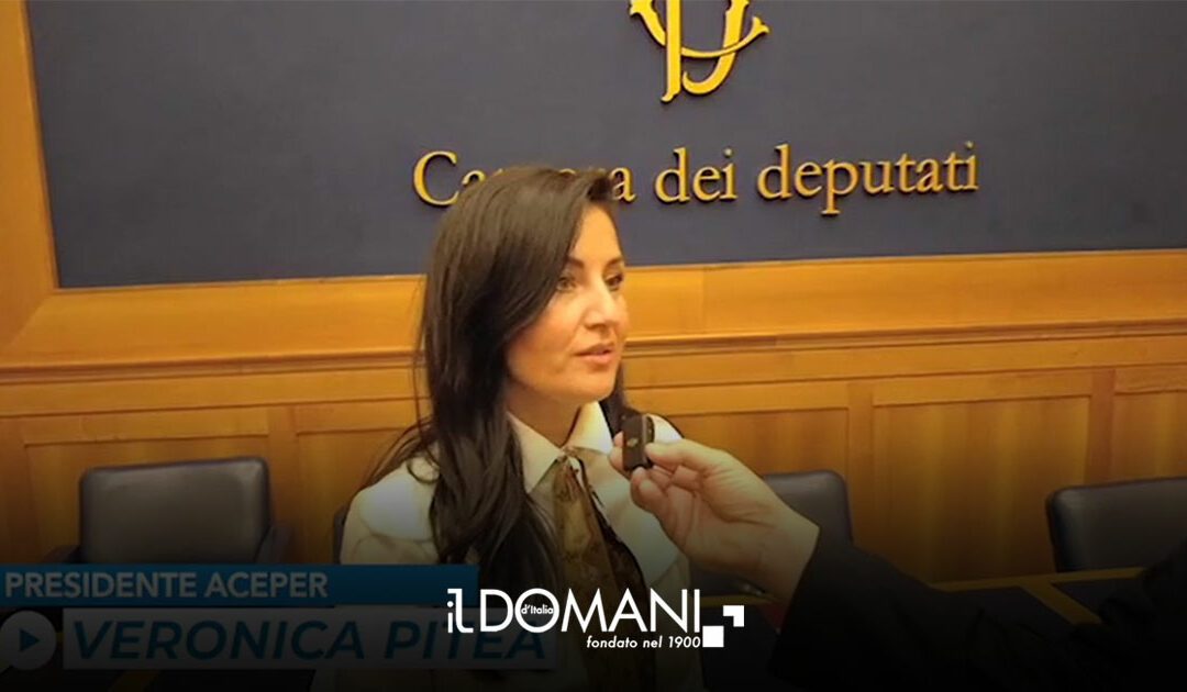 Rinnovabili in Italia, la burocrazia frena l’energia pulita – il Domani d’Italia