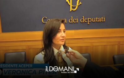 Rinnovabili in Italia, la burocrazia frena l’energia pulita – il Domani d’Italia