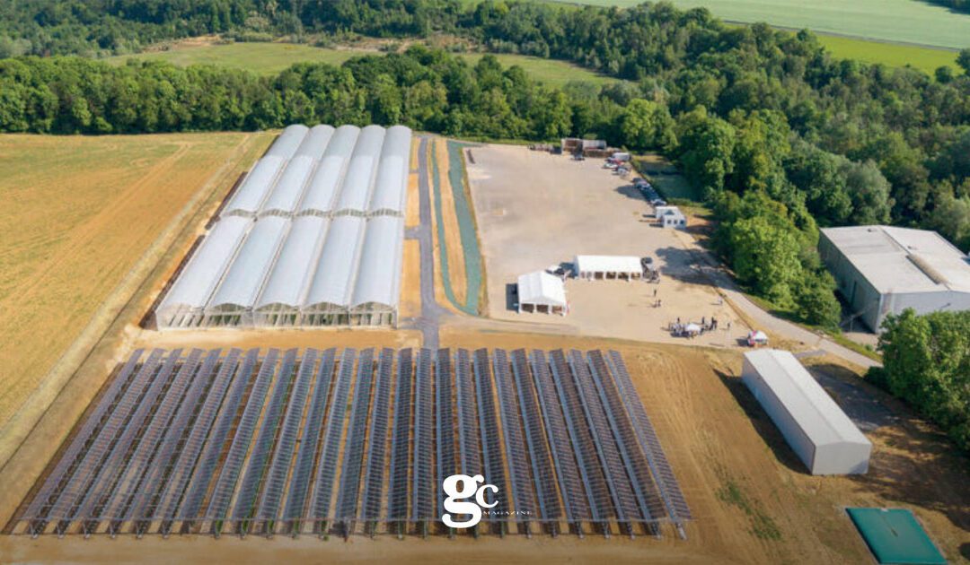 La luna oltre il dito