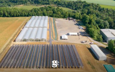 La luna oltre il dito