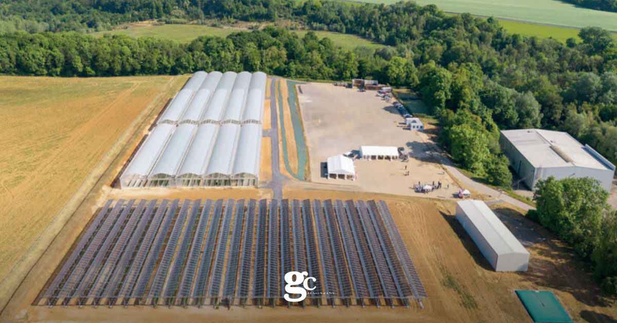 Veronica Pitea a "Giornate dell'emigrazione"