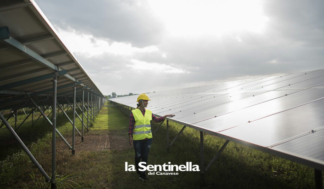 Rinnovabili, crollo del mercato del 29% dopo le restrizioni decise per decreto – La Sentinella