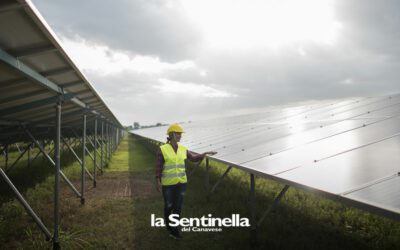Rinnovabili, crollo del mercato del 29% dopo le restrizioni decise per decreto – La Sentinella